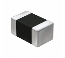 BK2125HS220-TV