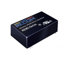 REM3-243.3SW/A/CTRL