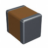1210ZC106MAT2A Image